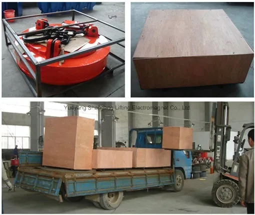 1000kg Scraps Hoist Crane Lifting Magnet