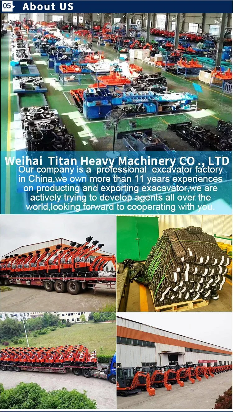 Titan Small Ce Excavator 800kg Electric Escavator Machines Mini Digger in China