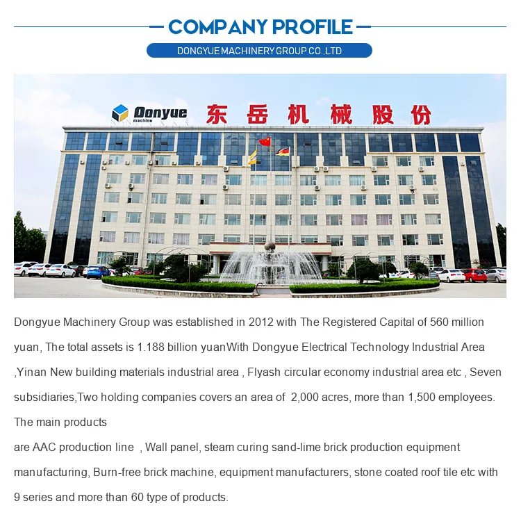 2015 Year Dongyue Autoclaved Aerated AAC Block Production Line Price