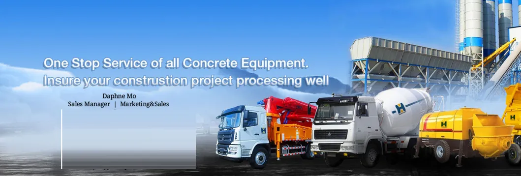 50m3/H Electric Hydraulic Mounted Trailer Mixer Concrete Pump Hbt50.13.130RS