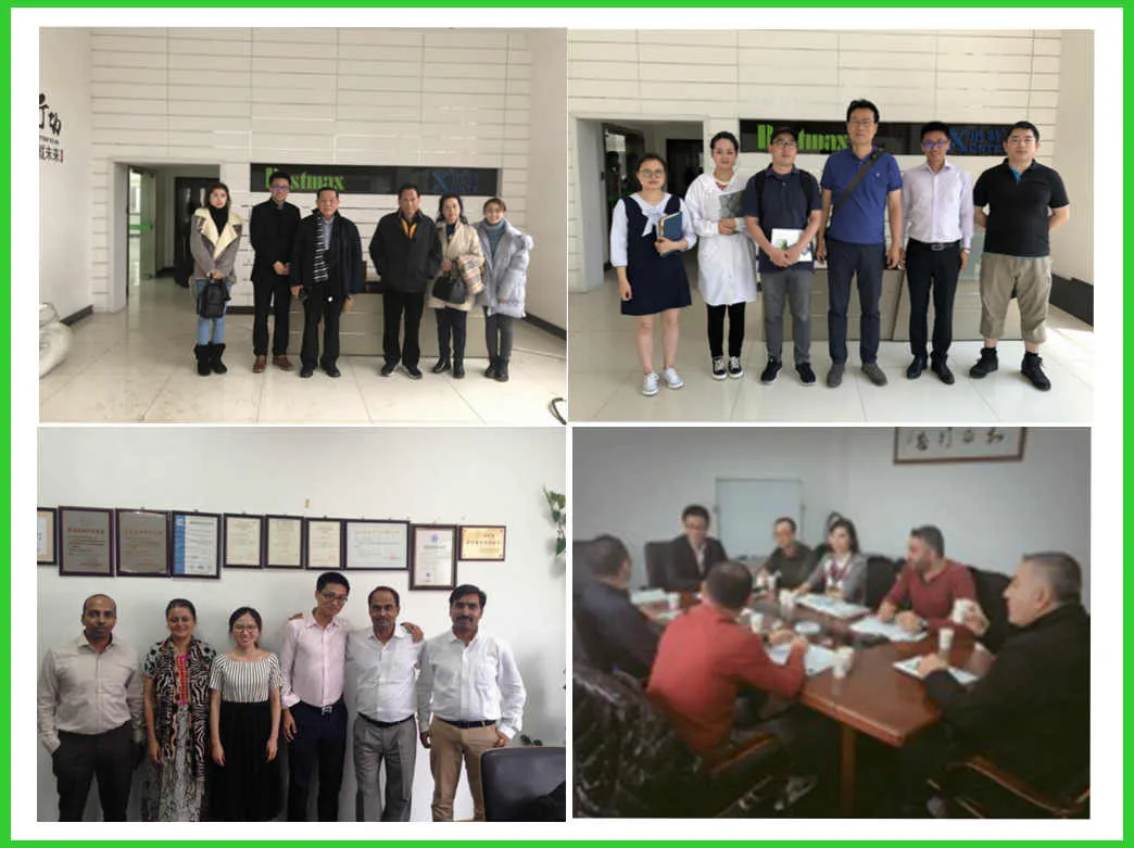 8 Meters Aluminum Alloy Aerial Lift Double Mast Man Lifts