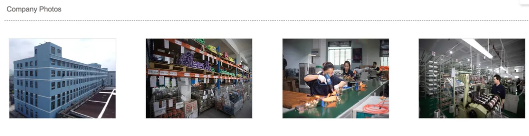 Ec 1 2 3 5 8 10ton Flat Webbing Color Code Textile safety Lifting Belt Sling