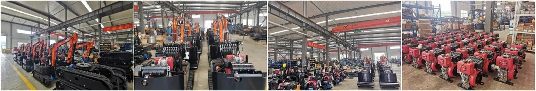 Farm Mini Digger 2.5ton Mini Excavator From Wolf