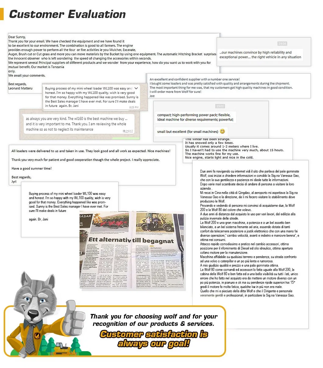 Farm Mini Digger 2.5ton Mini Excavator From Wolf
