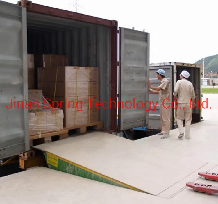 Fixed Rmap Warehouse Dock Leveler/Yard Ramp/Stationary Cargo Lifter