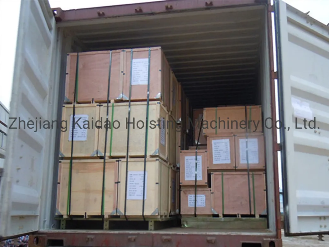 Garage Winch 5ton Electric Chain Hoist with Wireless Remote