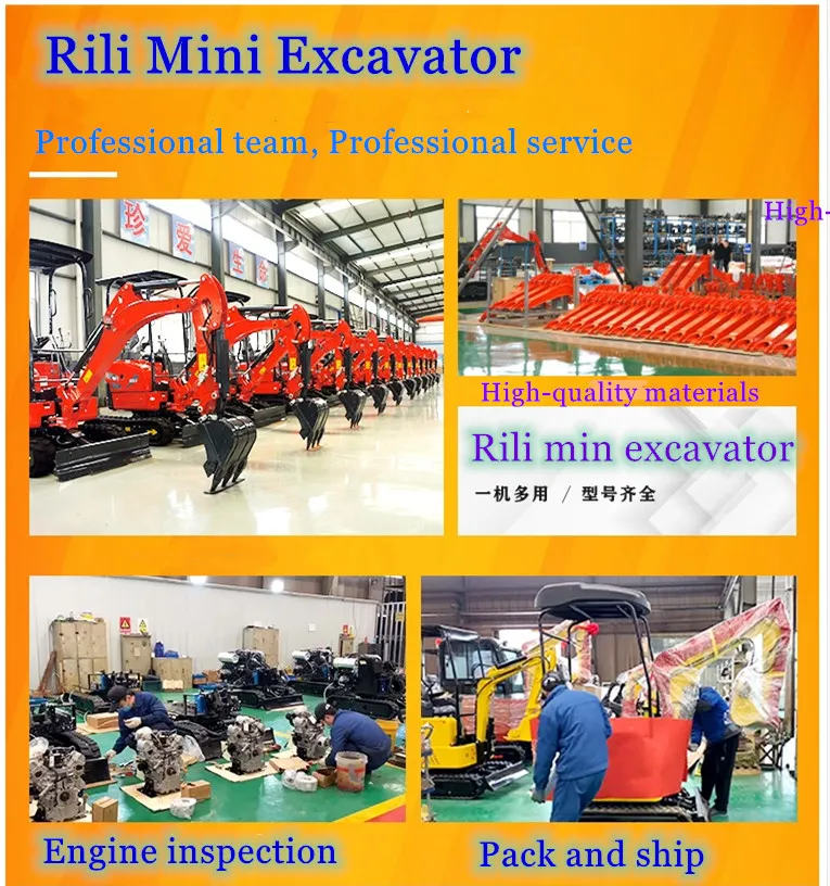 Ground-Moving Machinery Hydraulic Track Loader and Digger Mini Excavator for Sale Widely Used in France