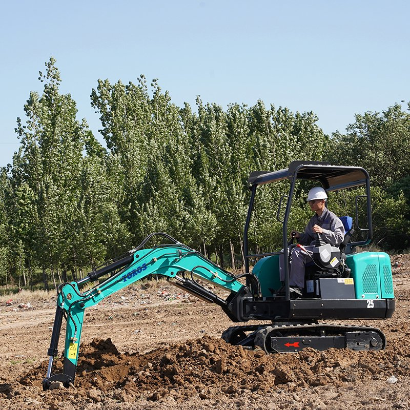Hot Sale China 2.2 Ton Cheap Yanmar Engine Mini Cabin Excavator Digger with Quick Hitch/Hydraulic/Crawler/CE/Diesel Gasoline