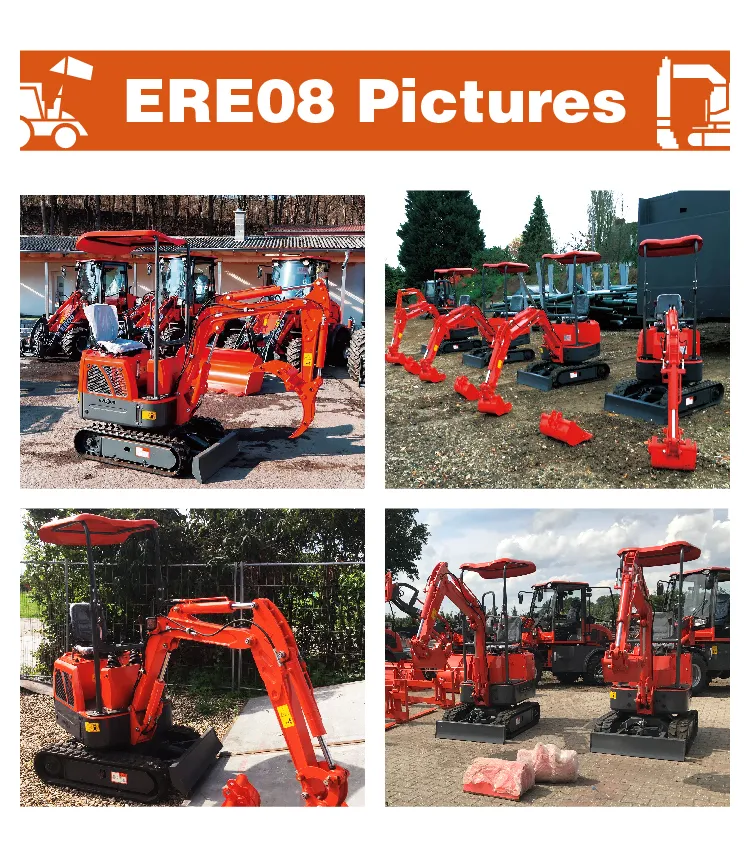 Hot Sale Chinese New Brand EVERUN ERE08 0.8ton Mini Excavator with Good Service