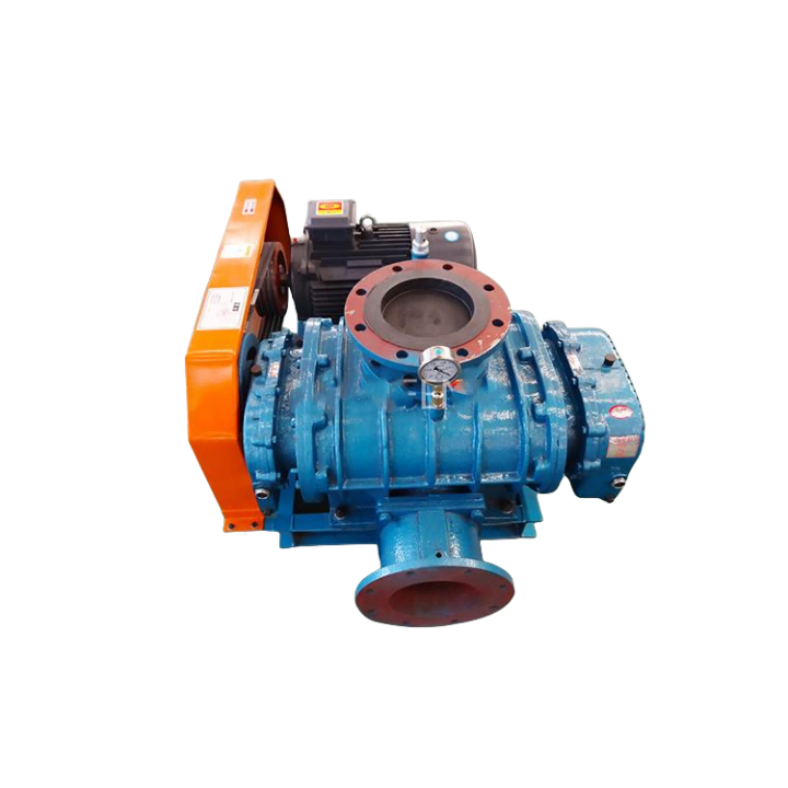 Roots Vacuum Pump