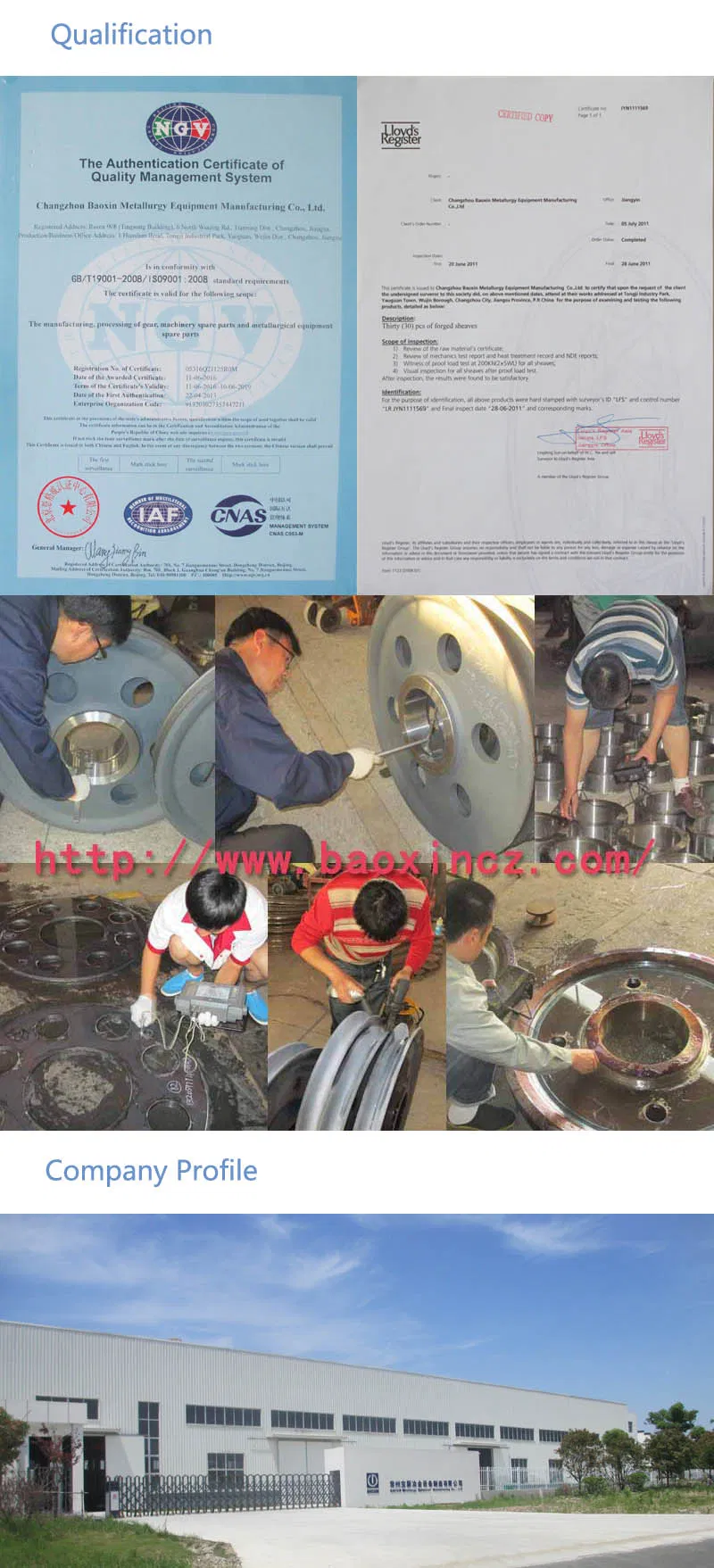 in Carbon Steel Hot Rolling Lifting Pulley