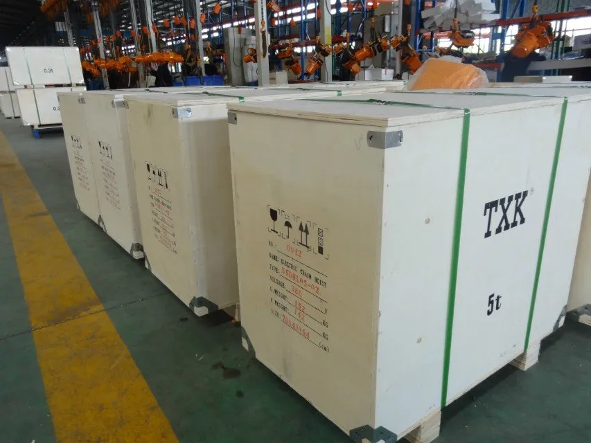 Low Price Electric Chain Hoist Ce GS Authorized