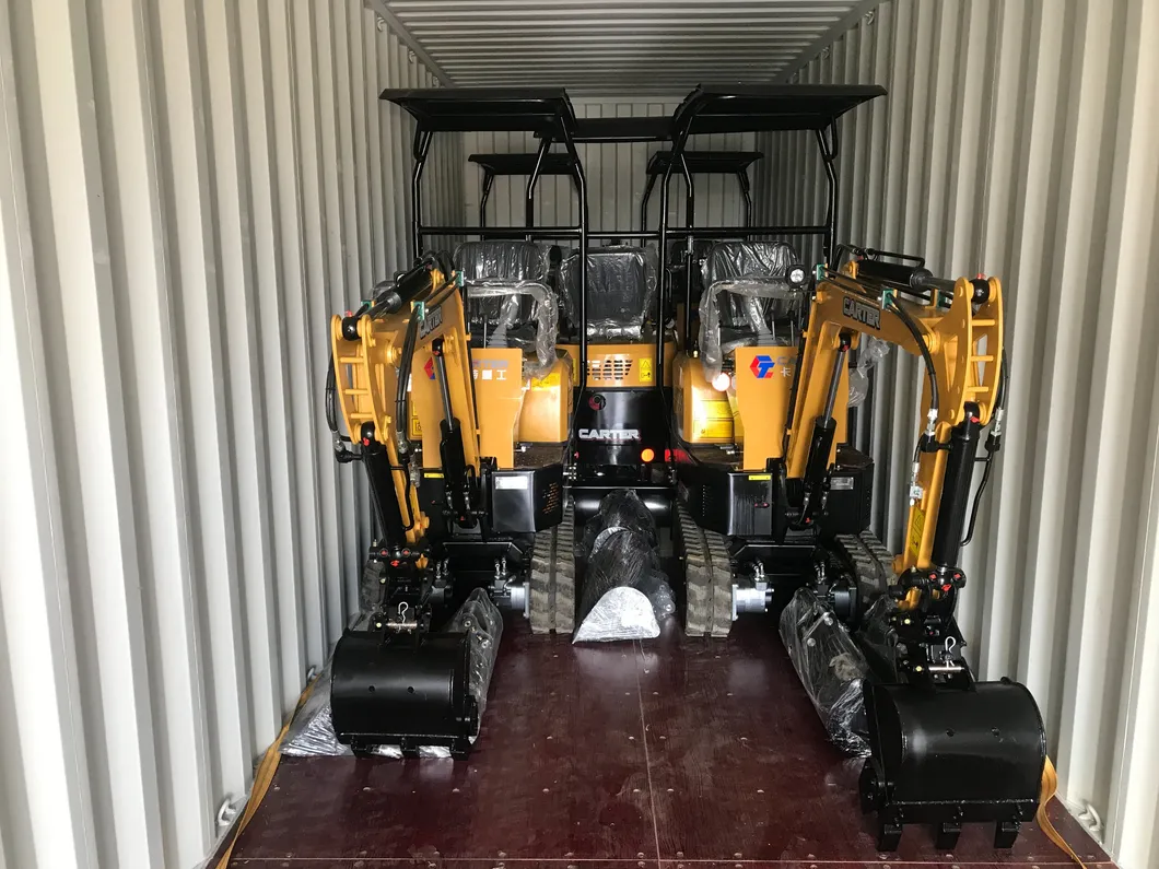 Mini Excavator 1 T with CE Euro 5 Standard