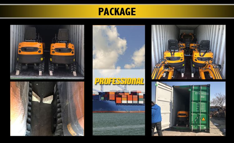 Multifunction Mini Excavator with High Performance and Swing Arm