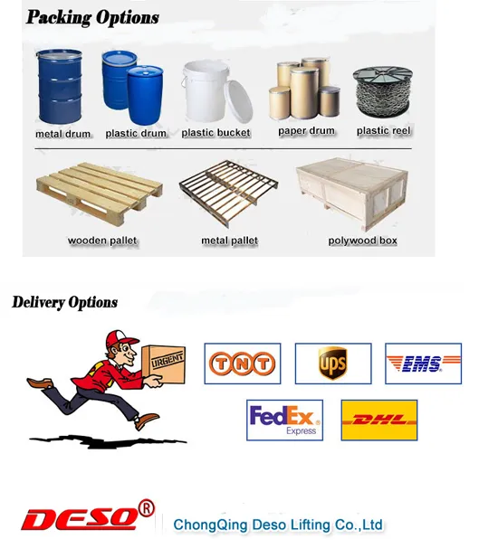 Portable Mini Electric Motor Lifting Wire Rope Hoist