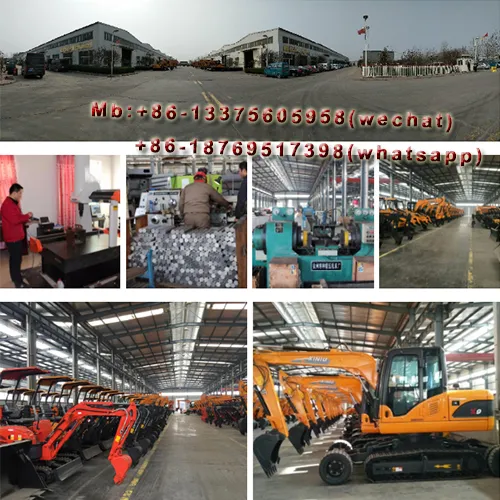 Rhinoceros Hot Sell Mini Excavator Hydraulic Crawler Excavator 0.8 Ton Small Excavator