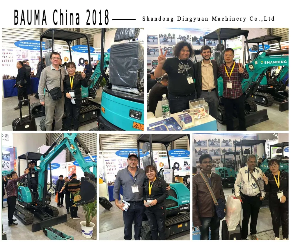 Shanding Mini Crawler Excavator SD90e Rotary Motor Eaton