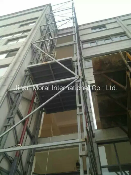 Warehouse Used Goods Lifting Cage Lift Cargo Elevator (SJD)